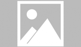 每日更新在线观看视频